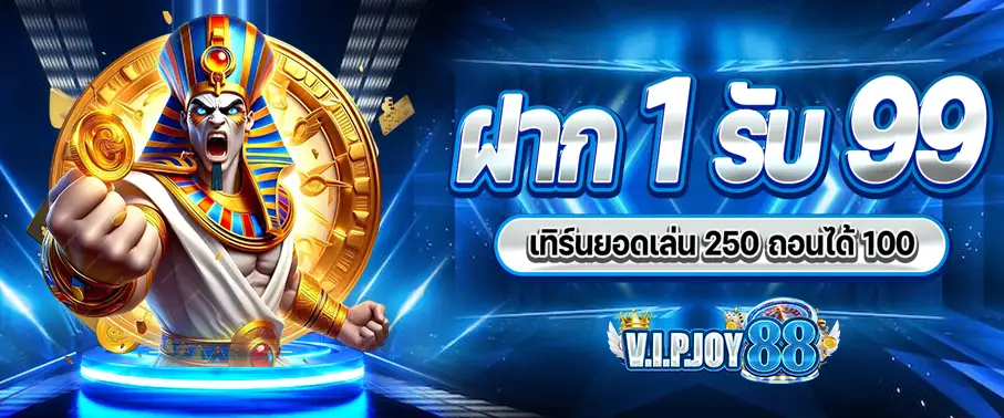 vipjoy88